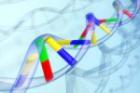 Сенсация: эксперты открыли новые модификации ДНК-составляющих
