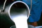Цены на молоко на Ставрополье самые низкие на Северном Кавказе
