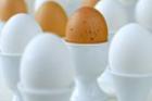 Яйца - ключ к сохранению памяти, доказало исследование