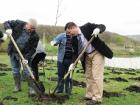 В Ставрополе высадили 600 деревьев