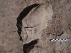 Археологи откопали черепа «мексиканских чужих»