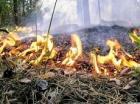 МЧС предупреждает население Ставрополья о возможном возникновении природных пожаров