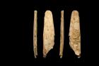 У неандертальцев нашли современные инструменты