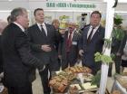 Форум «Праздник хлеба на Юге России» прошел на Ставрополье