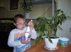 Ставропольских детей с ограниченными возможностями начали лечить цветоводством