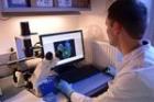 Метастазы рака поддаются контролю с помощью особых наночастиц