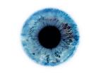 Капли innoxa – эффективное средство для глаз