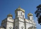 В Ставрополе откроют киноклуб «Золотой Витязь»