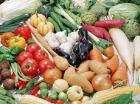 На Ставрополье началась уборка урожая овощных культур