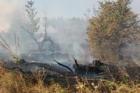 Проблему ландшафтных пожаров обсудили в правительстве края
