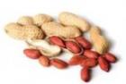 15 грамм арахиса или орехов снизят риск преждевременной смерти от рака