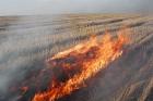 За выжигание убранных полей ставропольские хозяйства заплатят многомиллионные штрафы