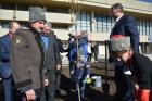 В Ставрополе высадили 7 тысяч деревьев и заложили сквер Дружбы народов