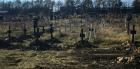 Следователи ищут родителей, чьи дети были массово захоронены в Ставрополе