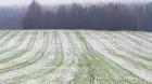 В Будённовском районе военная техника испортила 10 гектар посевов