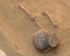 Древние погребения обнаружены в Ставропольском крае