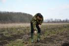 В Ставрополе Кадетский лес пополнился 10-ю тысячами саженцев крымской сосны