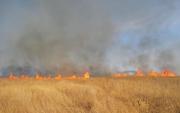 Пожарные спасли от выгорания сотни гектаров урожая в нескольких районах Ставрополья