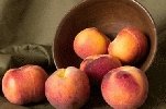 Персики и абрикосы опасны для здоровья
