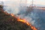 В России растет возмущение бесконтрольными пожарами