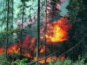 На Ставрополье появился черный список хозяйств-нарушителей, допустивших пожары