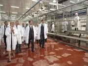 В крае начал работу новый мясоперерабатывающий завод