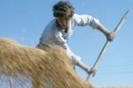 Призрак голода приведет к всемирной борьбе за зерно