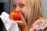 Реакция на вредную пищу зависит от рациона в детстве