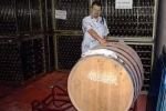 В России начали производить кошерное вино