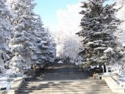 Ставрополь буквально завалило снегом