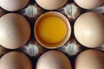 Яйца названы универсальным источником антиоксидантов