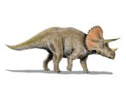 Фрагмент рога подтвердил метеоритную версию гибели динозавров