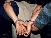 Пьяные нарушители задержаны за оказание сопротивления сотрудникам ГИБДД
