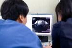 Врачи научились оценивать боль с помощью сканирования мозга