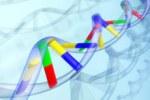 Сенсация: эксперты открыли новые модификации ДНК-составляющих