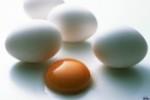Куриные яйца - источник вечной молодости
