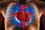 В ишемической болезни сердца виноваты гены?