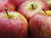 Украина занимает лидирующие позиции в мире по производству яблок