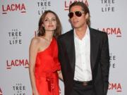 Брэд Питт и Анджелина Джоли пожертвовали $ 340 тысяч на благотворительность