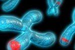 Лечение генетических недугов стволовыми клетками - уже реальность