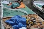 Энцефалит стремительно захватывает Индию - врачи бьют тревогу