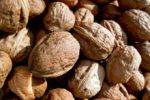 Грецкие орехи снижают риск рака груди