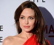 Анджелину Джоли обвинили в плагиате