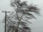 В Ставрополе ожидается дальнейшее усиление ветра