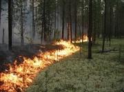 На Ставрополье начался пожароопасный сезон