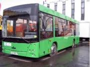 Новые белорусские автобусы появятся в Тюмени