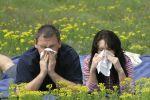 Народные способы лечения аллергии