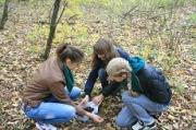 Ставропольские школьники возрождают краевые леса