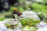 Здоровье: Как зеленый чай защищает глаза?