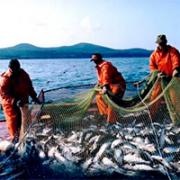 Девять рыбаков умерли от переохлаждения у побережья Южной Кореи